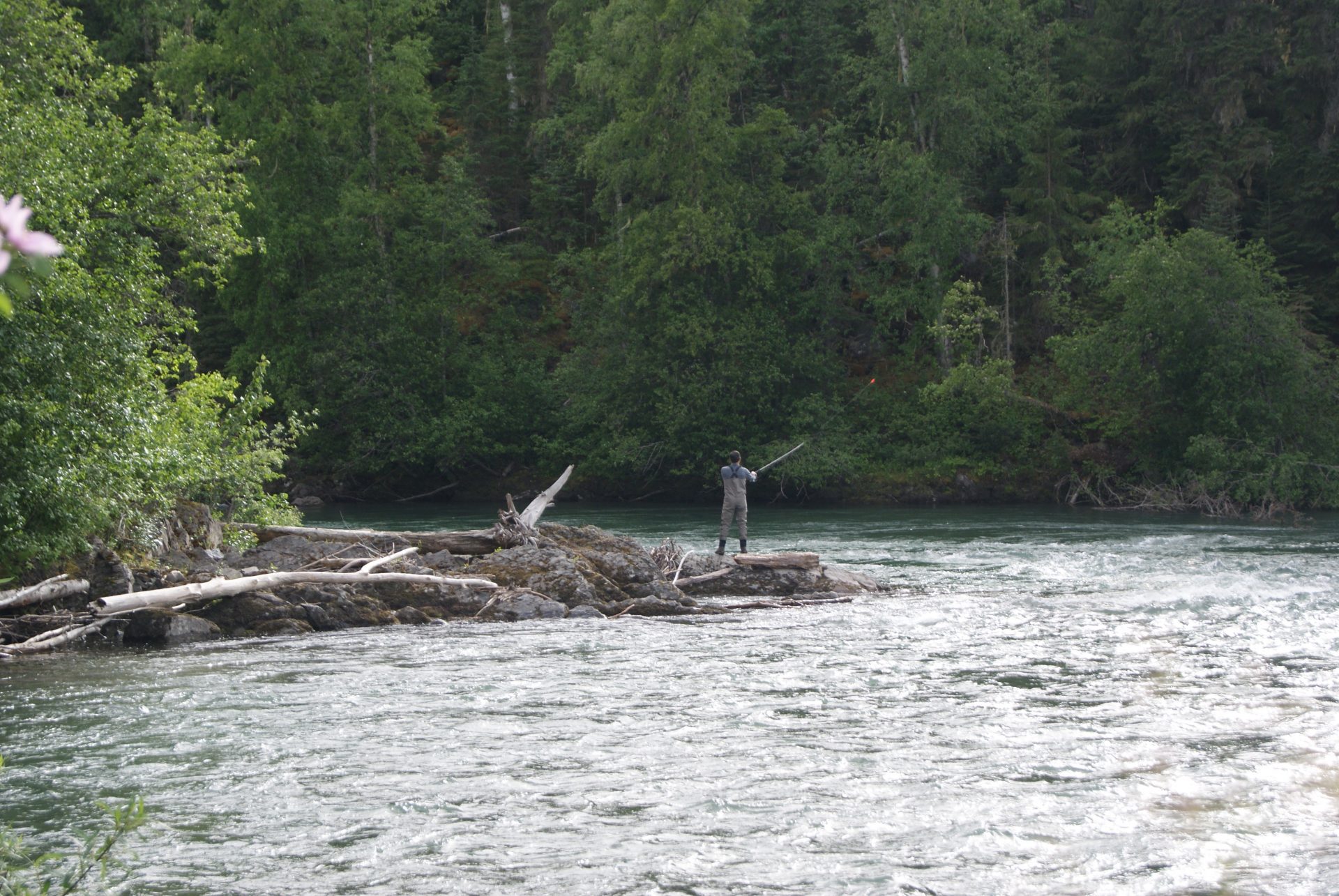 Salmon Watersheds Northern Confluence